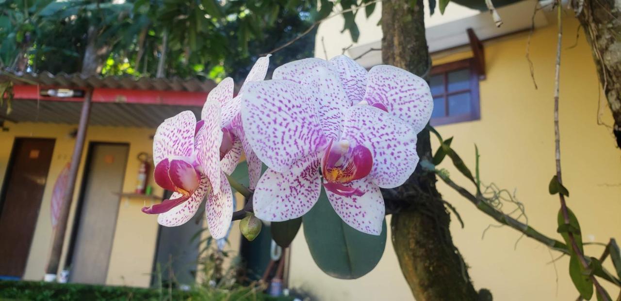 Pousada Mixirica ตรินดาเจอ ภายนอก รูปภาพ